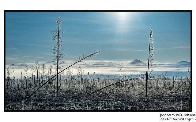 John Stern's "Alaskan". Courtesy of dnj Gallery