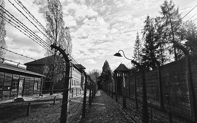 Auschwitz (Photo courtesy of the author)