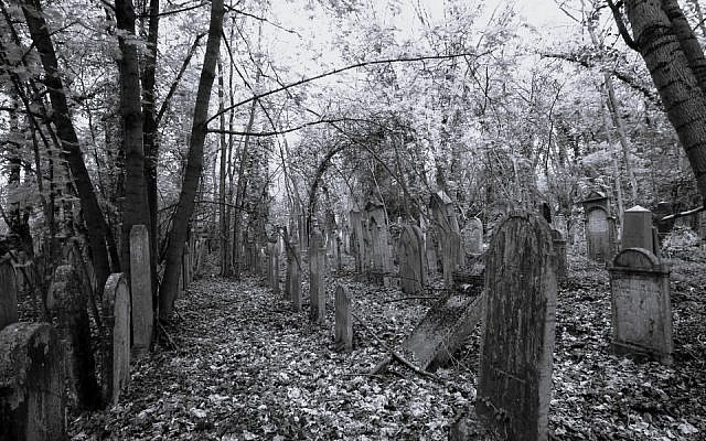 Kozma street cemetery
(Photo courtesy of the author)