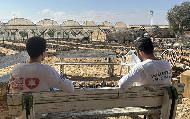 On a farm in Kadesh Barnea, January 2025