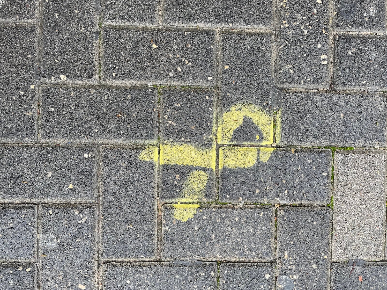 Today, the war ended. Today, everything begins.