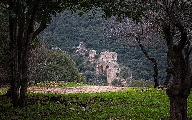 The Montfort Fortress: A timeless sentinel overlooking the Galilee, standing firm through centuries of shifting horizons. Credit: Amir Yarchi