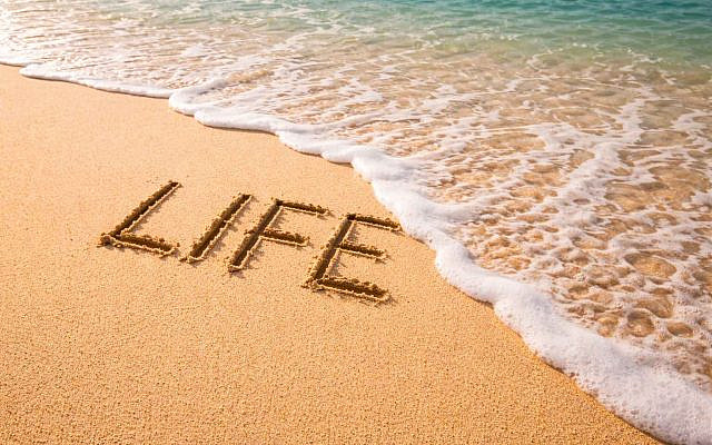 Life is finite. Its passage can be seen. That is all. Image © Ivan Bassov, 2026. Licensed under CC0 (public domain dedication).