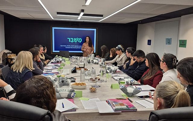 Mental Health First Aid course delivered at the President's House. Courtesy: Mental Helath First Aid Israel
