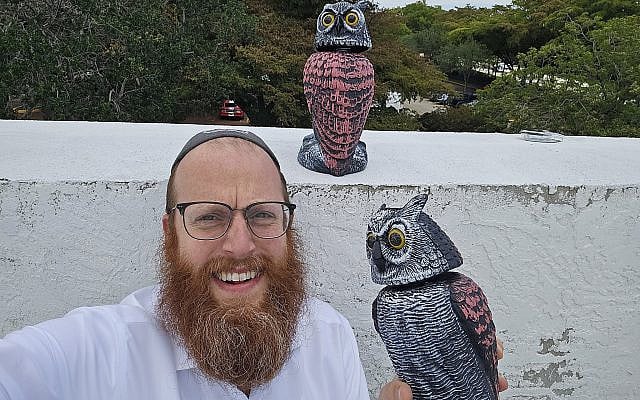 Rabbi Denburg putting fake owls on the roof.