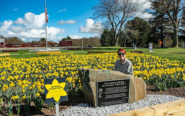 The author at The Daffodil Project at Morningside Park and Campground, Fallsburg, New York. Photo courtesy of the author.