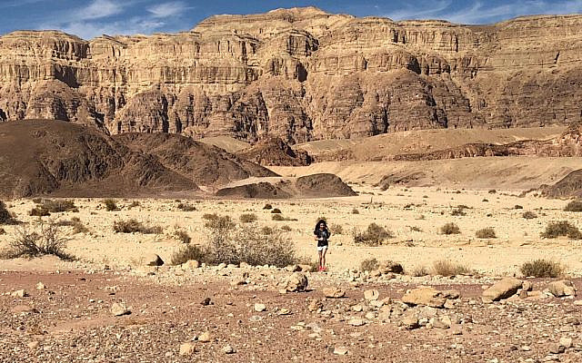 Photo by Rod Kersh, Negev. January, 2018.