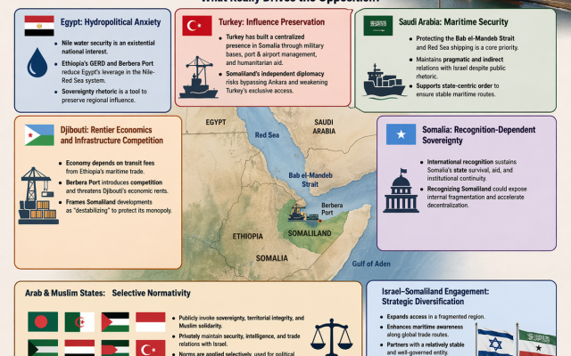 “National Interests vs. Political Pretense: A visual breakdown of how regional powers frame sovereignty and diplomacy in response to Israel–Somaliland engagement, revealing the strategic interests behind public rhetoric.”