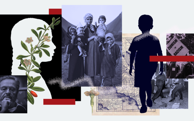 Image from JIMENA's Distinctions Journal, 2025