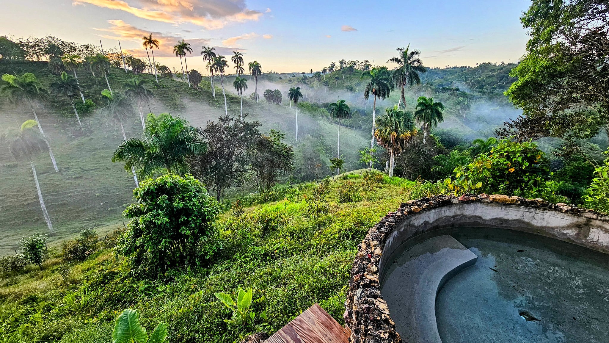 Sightseeing Immersions in the Caribbean: Into the Wild Heart of OYA