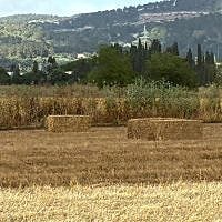 Understandably, Israel has let key issues, including the climate crisis, renewable energy, cleantech, and more, drop off the public radar. But there's no easy fix