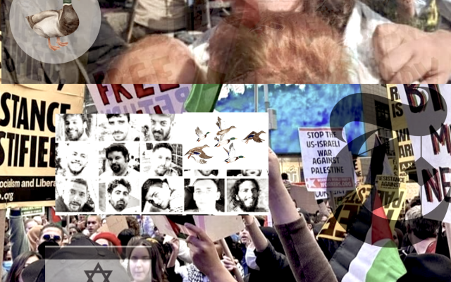 Photo collage by the author