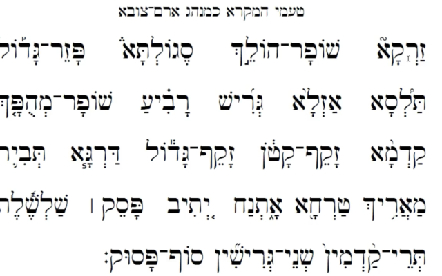 Where I'm from, we call a shalshelet a ta'am and refuse to forget that it is written with an ayin rather than an aleph.
