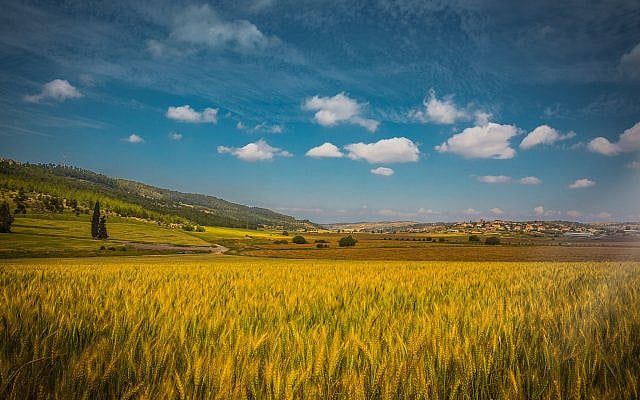 Valley of Elah