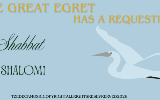Design: Tzedeck Zeltzer
Elements licensed   by Canva.com