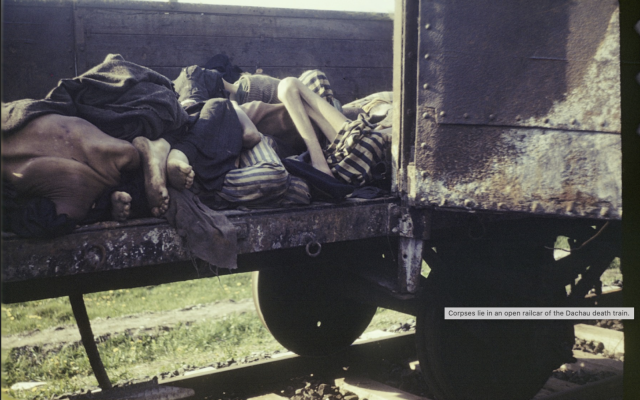 Corpses in an open railcar of the Dachau death train taken by the author’s grandfather at Dachau, in the spring of 1945. Corpses in an open railcar of the Dachau death train taken by the author’s grandfather at Dachau, in the spring of 1945.