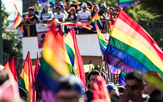 https://www.pexels.com/photo/crowd-raising-holding-rainbow-flags-12251921/