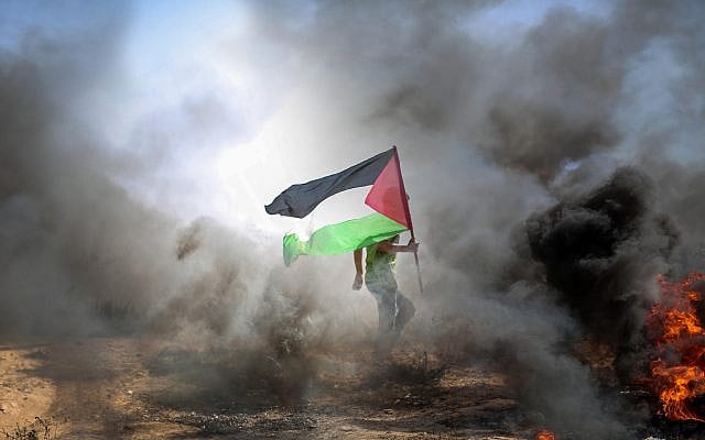 Free download available for non-commercial and commercial use from the website Pexels  of a protestor carrying a Palestinian flag amidst smoke and flames in Gaza, the URL is https://www.pexels.com/photo/protestor-in-gaza-holding-palestinian-flag-in-smoke-36038663/