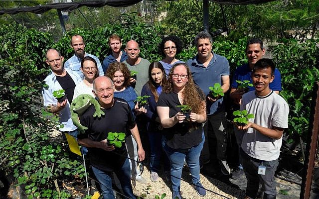 Psychedelic gardeners. From left to right: front row – Dr. Yoav Peleg, Dr. Paula (Shirley) Berman, and Dr. Let Kho Hao; second row – Dr. Shahar Cohen, Efrat Almekias-Siegl, Dr. Ilana Rogachev, Prof. David Meiri, Dr. Sagit Meir, Dr. Olga Khersonsky, Prof. Asaph Aharoni, and Dr. Liron Sulimani; back row – Dr. Uwe Heinig and Herschel Mehlman.