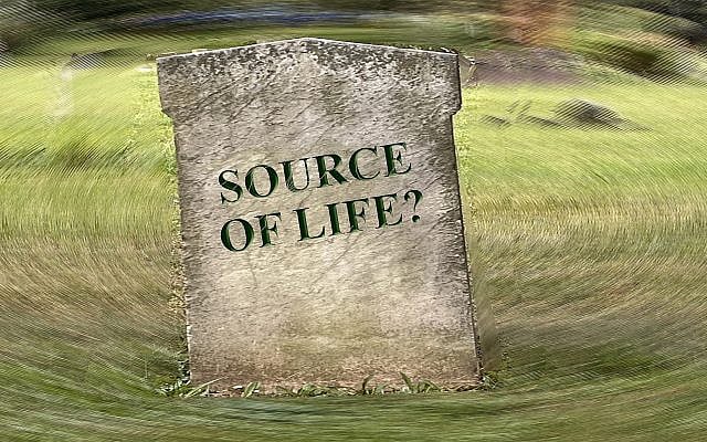"Source of Life?" artwork by Audrey N. Glickman, used with permission. "Source of Life?" artwork by Audrey N. Glickman, used with permission.
