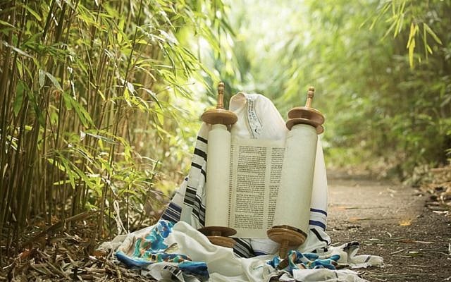 Torah Scroll Jewish Congregation of Maui (Source: Jewish Congregation of Maui)