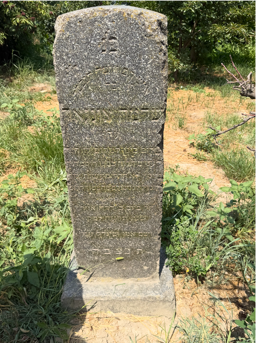 Weathered granite gravestone with a Hebrew inscription, standing alone in an overgrown cemetery
