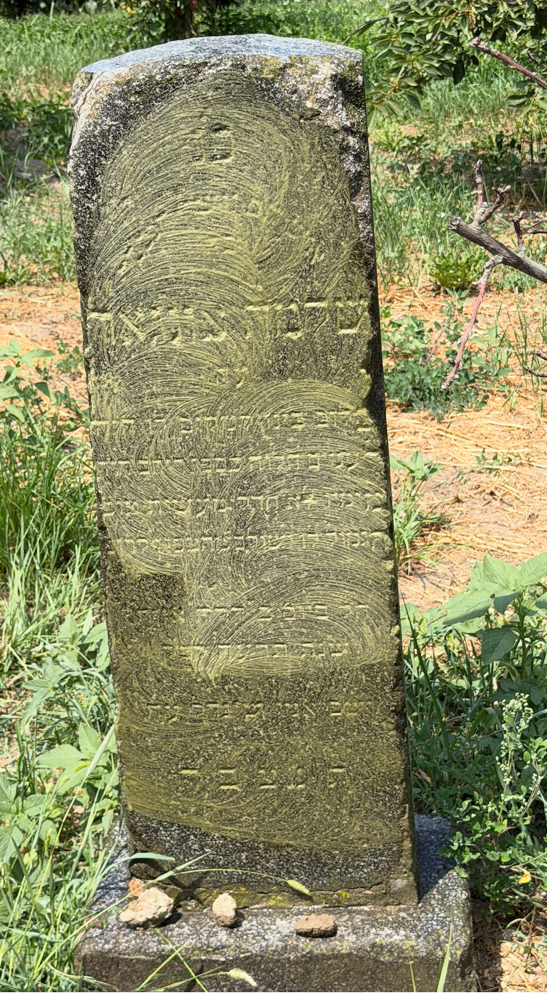 The author's great-grandfather's gravestone, Vienna