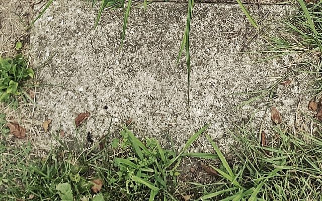 Grave of author's great-grandfather in Machpelah cemetary.

Photo by Zarachti Nur, July 2026.
