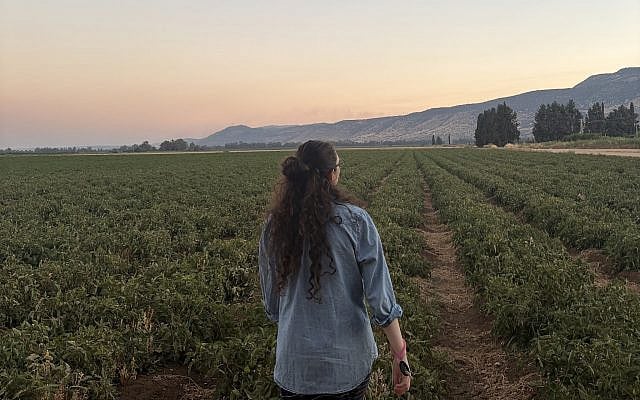 Tzeela standing facing mountains at sunset (image by Odeya)