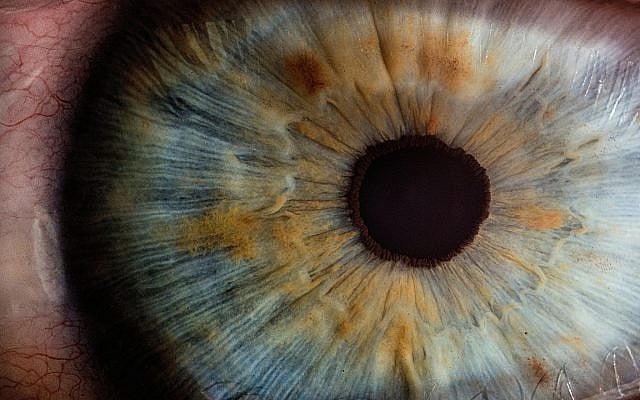 v2osk, unsplash