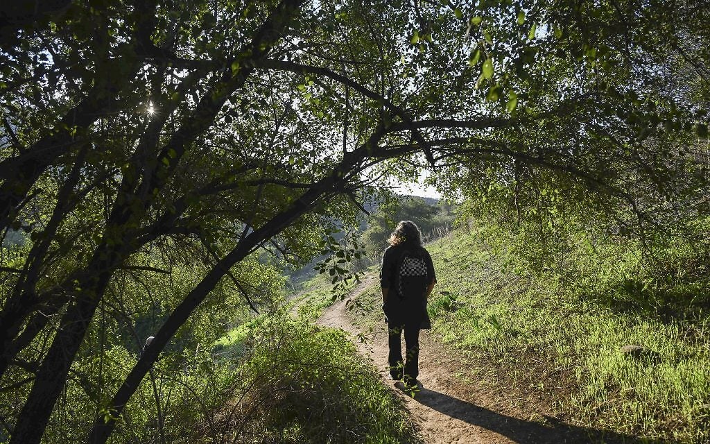 Hiking in nature in the Lower Galilee, northern Israel, December 20, 2025. (Michael Giladi/Flash90)