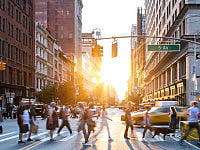 New York Mayoral Race