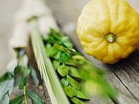 Sukkot
