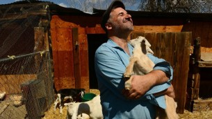 مارک سولوای