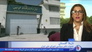 نازیلا گلستان