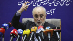 علی اکبر صالحی، رئیس سازمان انرژی اتمی ایران علی اکبر صالحی، رئیس سازمان انرژی اتمی ایران