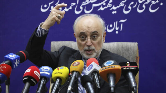 علی اکبر صالحی، رئیس سازمان انرژی اتمی ایران