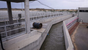 View of the Dan Region Wastewater Treatment Plant (SHAFDAN) in Rishon Letzion, on November 22, 2018. Photo by Isaac Harari/Flash90 *** Local Caption *** מכון התפלה
שפדן
תשתיות
איכות הסביבה
מים