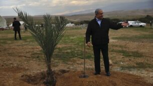 Israeli Prime Minister Benjamin Netanyahu prepares to plant a tree during an event on the Jewish holiday of Tu' BiShvat, in the Jewish settlement of Mevo'ot Yericho, in the West Bank near the Palestinian city of Jericho, Monday, Feb. 10, 2020. (AP Photo/Ariel Schalit)