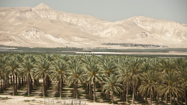 دره اردن دره اردن