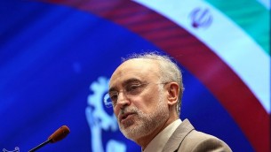 علی اکبر صالحی رئیس سازمان انرژی اتمی ایران