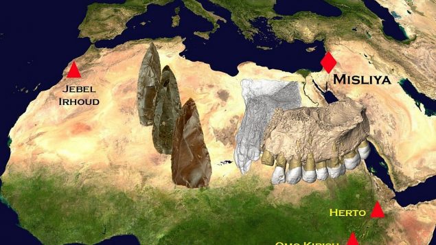 قدیمیترین نشانه از «انسان خردمند» (هوموساپین) در خارج از آفریقا قدیمیترین نشانه از «انسان خردمند» (هوموساپین) در خارج از آفریقا