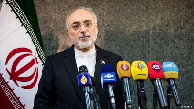 صالحی صالحی