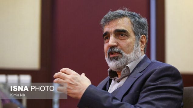 سخنگوی سازمان انرژی اتمی ایران سخنگوی سازمان انرژی اتمی ایران
