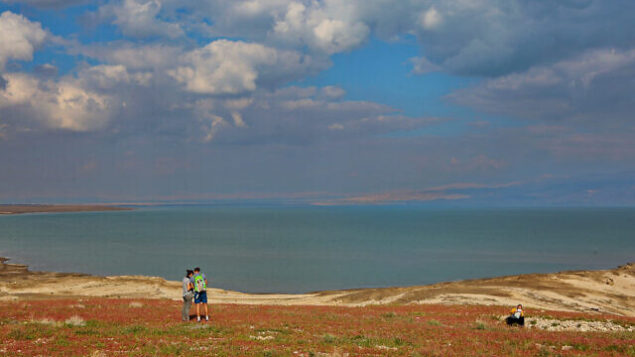 Israelis enjoy the blooming of flowers in the Dead Sea, February 20, 2020. Photo by Yaakov Lederman/Flash90 *** Local Caption *** טבע
ים המלח
פריחה
פרחים
נהנים
ישראלי
ישראלים Israelis enjoy the blooming of flowers in the Dead Sea, February 20, 2020. Photo by Yaakov Lederman/Flash90 *** Local Caption *** טבע
ים המלח
פריחה
פרחים
נהנים
ישראלי
ישראלים