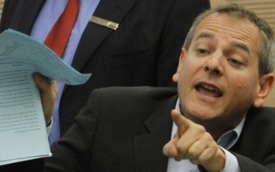 Nitzan Horowitz en 2011. (Crédit : Miriam Alster/Flash90)