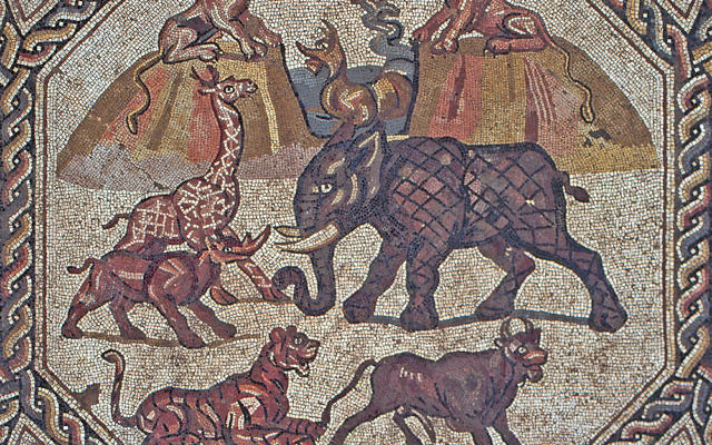 Mosaïques découvertes à Lod (photo credit: Niki Davidov/courtesy of the Israel Antiquities Authority) Mosaïques découvertes à Lod (photo credit: Niki Davidov/courtesy of the Israel Antiquities Authority)