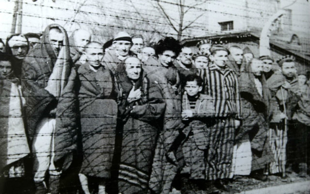 Des prisonniers à la libération du camp Auschwitz-Birkenau en janvier 1945. (Crédit : gouvernement russe/domaine public)