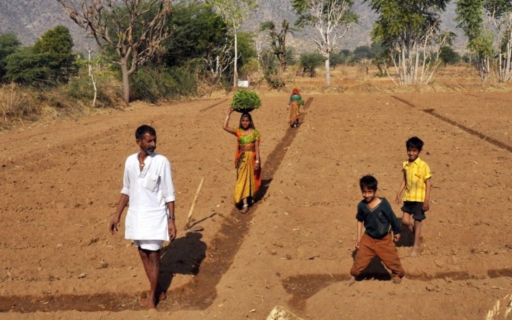 Des Indiens au travail dans un champ à Pushkar au Rajasthan (Crédit : Serge Attal/Flash90)