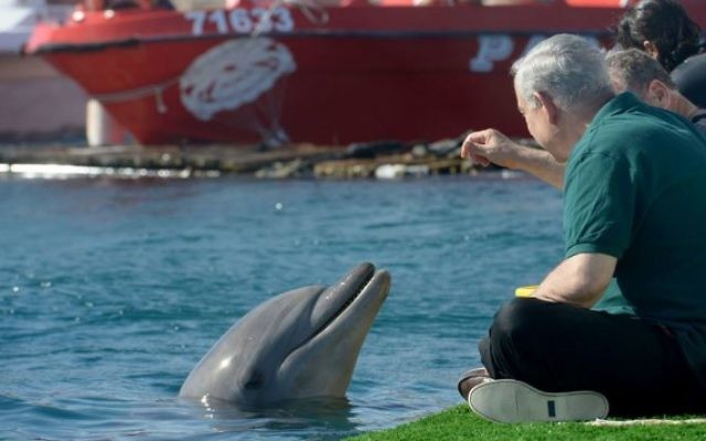 Le Premier ministre Bejamin Netanyahu joue avec un dauphin à Eilat lors de sa "Visite Royale" avec le producteur Peter Greenberg (Crédit : Avi Ohayon/Bureau de presse du gouvernement)